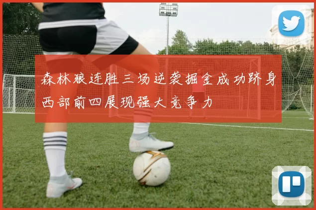 森林狼连胜三场逆袭掘金成功跻身西部前四展现强大竞争力